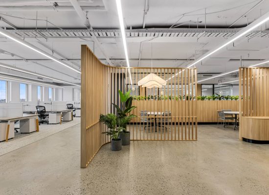 68 Alfred Street 4