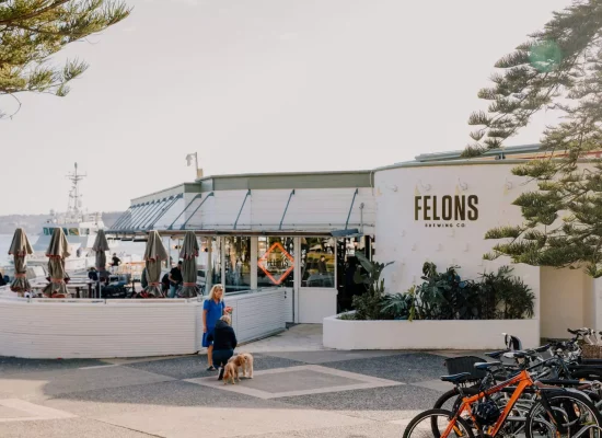 FelonsManly_Broadsheet_LowRes-3-of-24